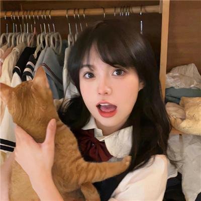 木材宝藏狗