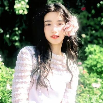 藏獒情未了