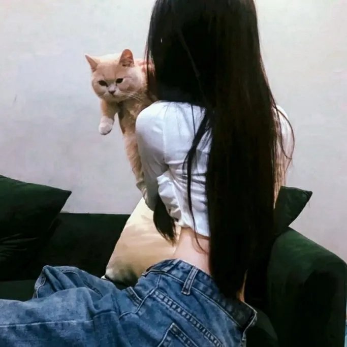 傻儿师长